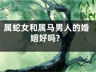 属蛇女和属马男人的婚姻好吗?