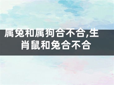 属兔和属狗合不合,生肖鼠和兔合不合