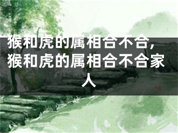 猴和虎的属相合不合,猴和虎的属相合不合家人
