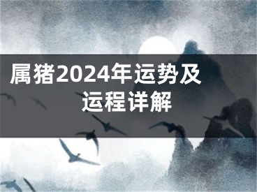 属猪2024年运势及运程详解