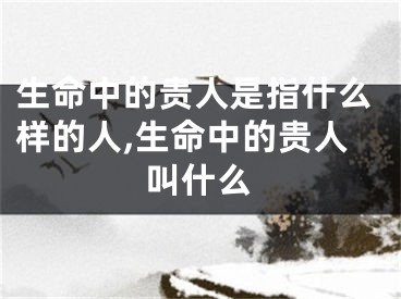 生命中的贵人是指什么样的人,生命中的贵人叫什么