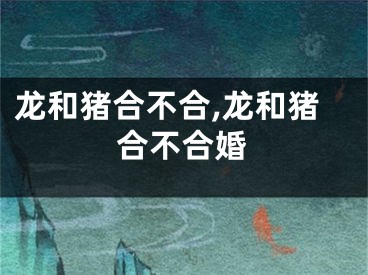 龙和猪合不合,龙和猪合不合婚