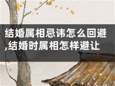 结婚属相忌讳怎么回避,结婚时属相怎样避让