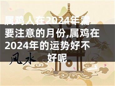 属鸡人在2024年需要注意的月份,属鸡在2024年的运势好不好呢