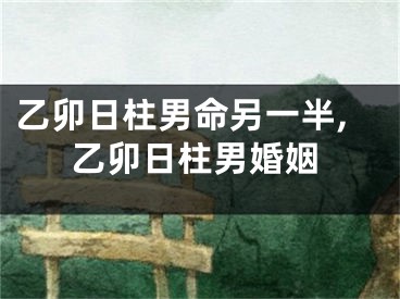 乙卯日柱男命另一半,乙卯日柱男婚姻