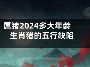 属猪2024多大年龄 生肖猪的五行缺陷