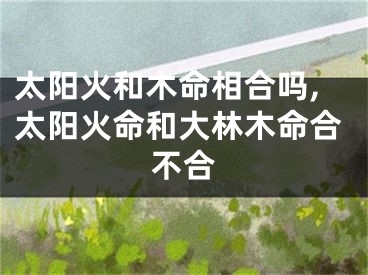 太阳火和木命相合吗,太阳火命和大林木命合不合