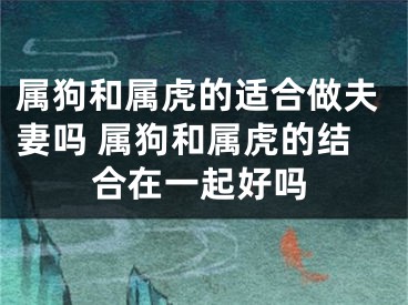 属狗和属虎的适合做夫妻吗 属狗和属虎的结合在一起好吗