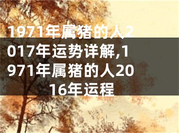 1971年属猪的人2017年运势详解,1971年属猪的人2016年运程