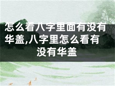 怎么看八字里面有没有华盖,八字里怎么看有没有华盖
