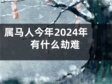 属马人今年2024年有什么劫难