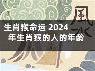 生肖猴命运 2024年生肖猴的人的年龄