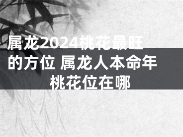 属龙2024桃花最旺的方位 属龙人本命年桃花位在哪