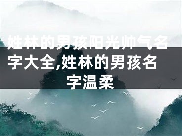 姓林的男孩阳光帅气名字大全,姓林的男孩名字温柔
