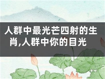 人群中最光芒四射的生肖,人群中你的目光