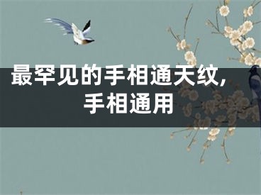 最罕见的手相通天纹,手相通用