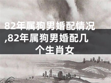 82年属狗男婚配情况,82年属狗男婚配几个生肖女
