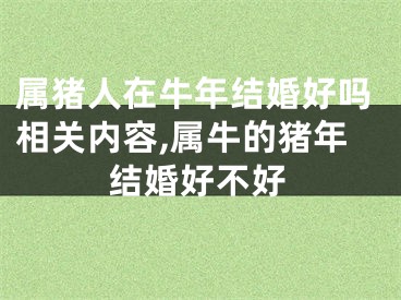 属猪人在牛年结婚好吗相关内容,属牛的猪年结婚好不好
