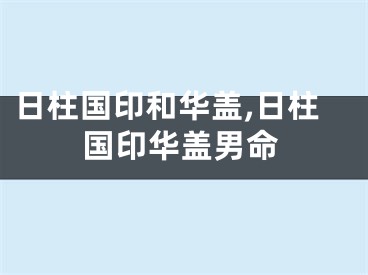 日柱国印和华盖,日柱国印华盖男命