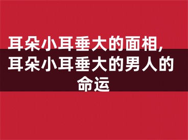 耳朵小耳垂大的面相,耳朵小耳垂大的男人的命运