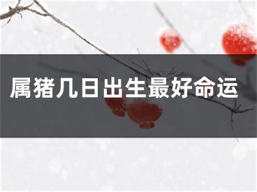 属猪几日出生最好命运