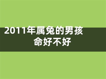 2011年属兔的男孩命好不好