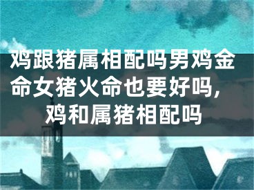 鸡跟猪属相配吗男鸡金命女猪火命也要好吗,鸡和属猪相配吗