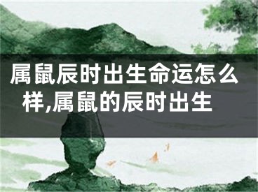 属鼠辰时出生命运怎么样,属鼠的辰时出生