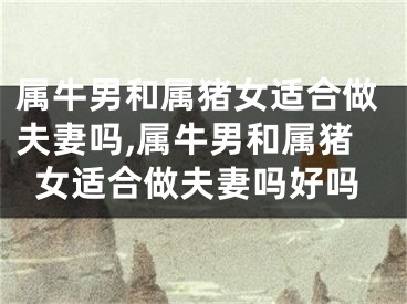 属牛男和属猪女适合做夫妻吗,属牛男和属猪女适合做夫妻吗好吗