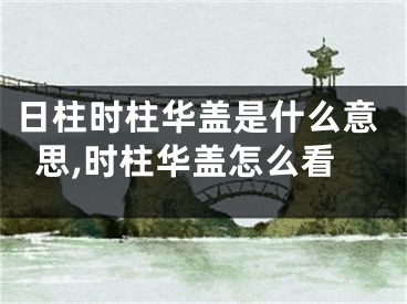日柱时柱华盖是什么意思,时柱华盖怎么看