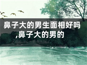 鼻子大的男生面相好吗,鼻子大的男的