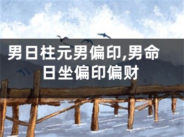 男日柱元男偏印,男命日坐偏印偏财