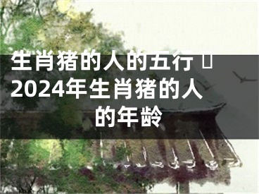 生肖猪的人的五行 ​2024年生肖猪的人的年龄