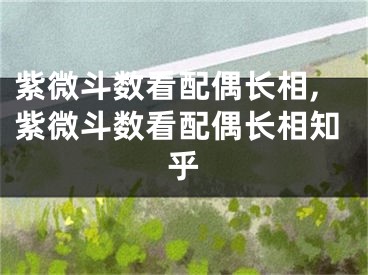 紫微斗数看配偶长相,紫微斗数看配偶长相知乎