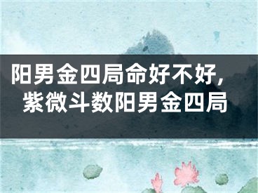 阳男金四局命好不好,紫微斗数阳男金四局