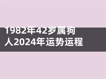 1982年42岁属狗人2024年运势运程