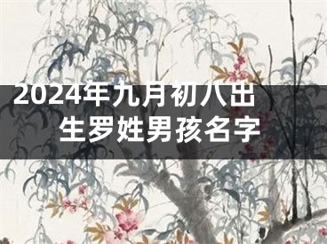 2024年九月初八出生罗姓男孩名字
