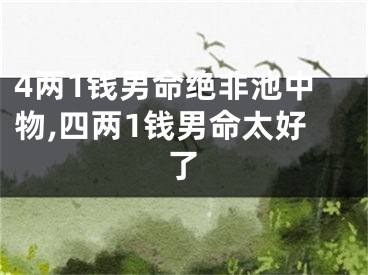 4两1钱男命绝非池中物,四两1钱男命太好了
