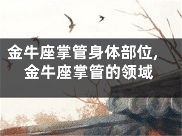 金牛座掌管身体部位,金牛座掌管的领域