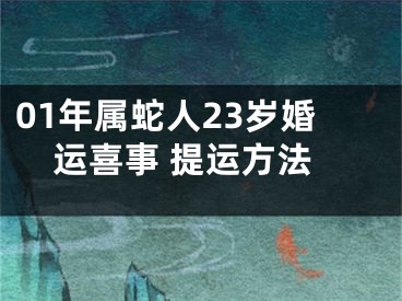 01年属蛇人23岁婚运喜事 提运方法