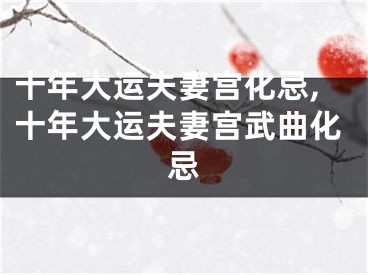 十年大运夫妻宫化忌,十年大运夫妻宫武曲化忌