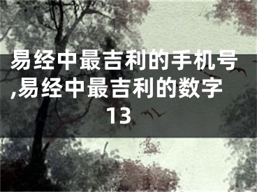 易经中最吉利的手机号,易经中最吉利的数字13