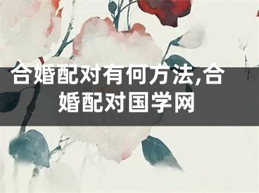 合婚配对有何方法,合婚配对国学网