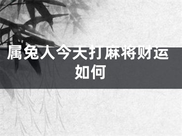 属兔人今天打麻将财运如何