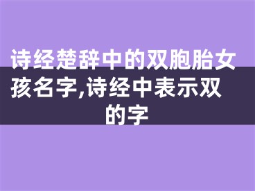 诗经楚辞中的双胞胎女孩名字,诗经中表示双的字