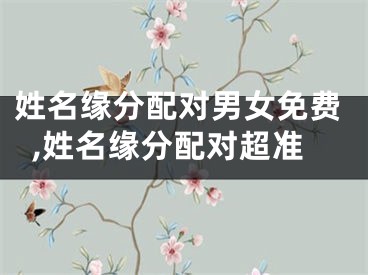 姓名缘分配对男女免费,姓名缘分配对超准