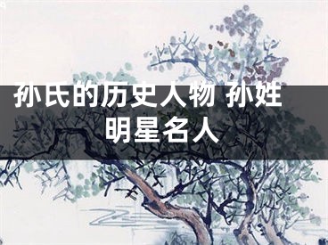 孙氏的历史人物 孙姓明星名人