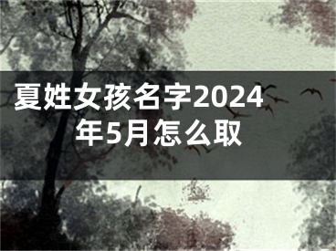 夏姓女孩名字2024年5月怎么取