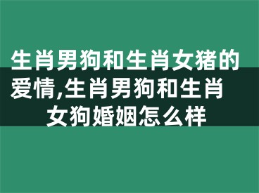 生肖男狗和生肖女猪的爱情,生肖男狗和生肖女狗婚姻怎么样