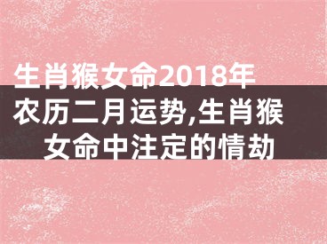 生肖猴女命2018年农历二月运势,生肖猴女命中注定的情劫